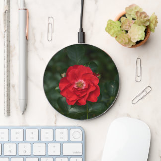 Red Rose P6568 Wireless Charger