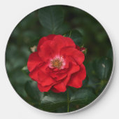 Red Rose P6568 Wireless Charger (Front)