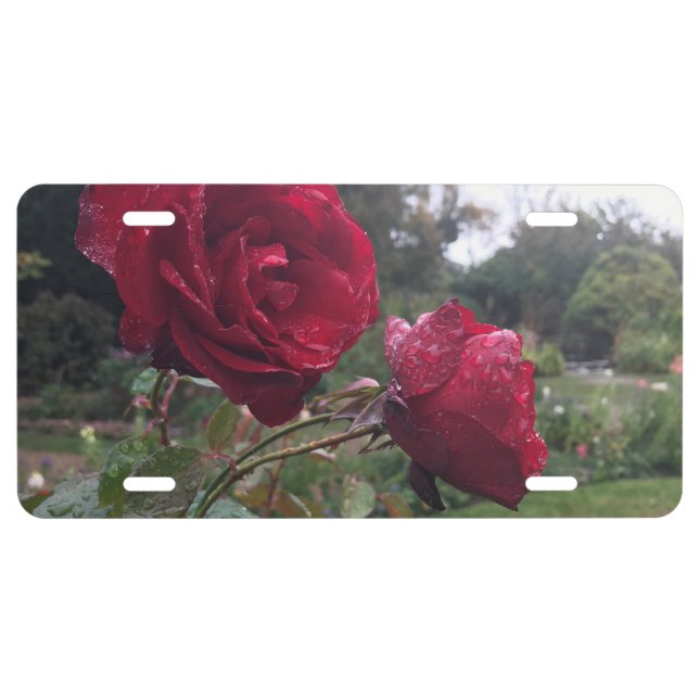 Red Rose Pair License Plate (Front)