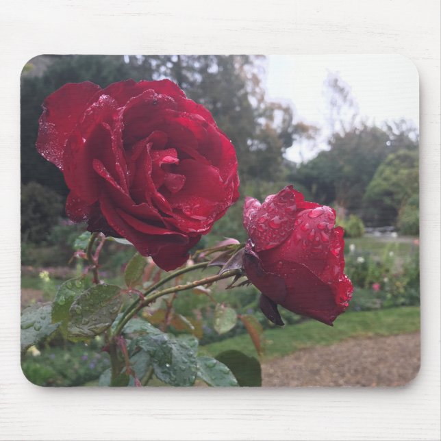 Red Rose Pair Mouse Pad (Front)
