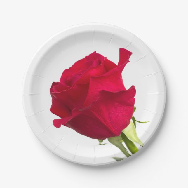Red rose paper plates (Front)