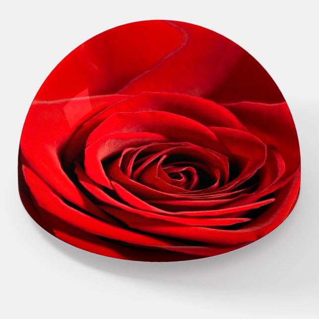 Red rose paperweight (Angled)