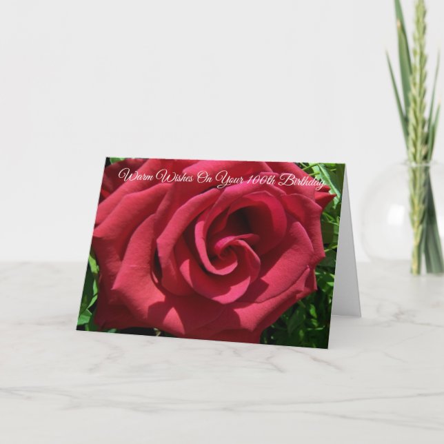 Red Rose Personalised 100th Birthday Card (Front)