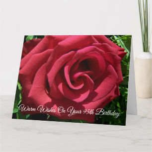 Red Rose Personalised 95th Birthday Card