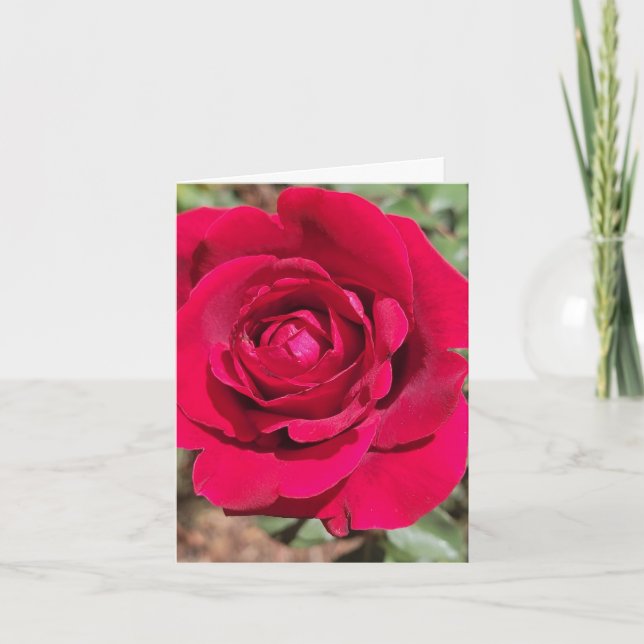 Red Rose Personalized Greeting Card (Front)