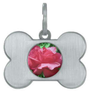 Red Rose Pet ID Tag