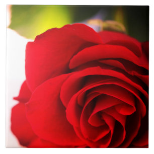 Red Rose Petals Flower Floral Ceramic Tile