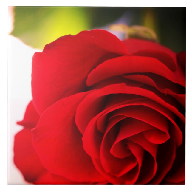 Red Rose Petals Flower Floral Ceramic Tile (Front)