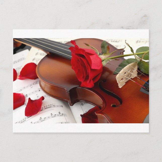 Red Rose Petals Romantic Violin Music Postcard (Front)