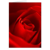 Red Rose Photo (Front)