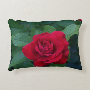 Red Rose Photo Accent Pillow