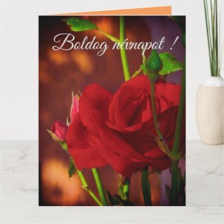 Red rose photo  - Hungarian name day