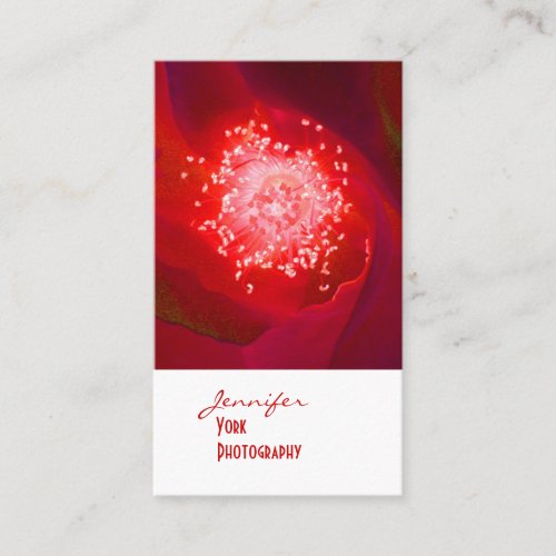 Red Rose photography business cards