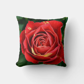 Red Rose Photography Throw Pillow