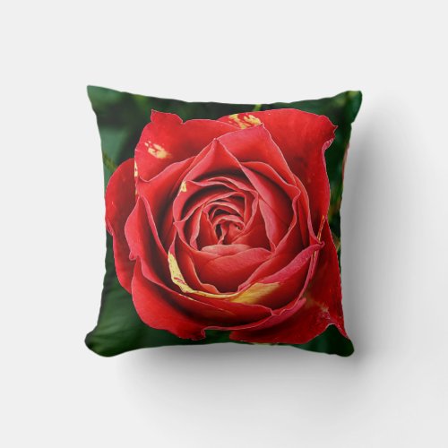 Red Rose Photography  Throw Pillow