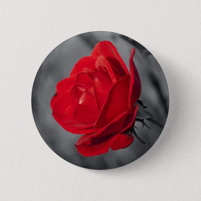Red Rose Pin (Front)