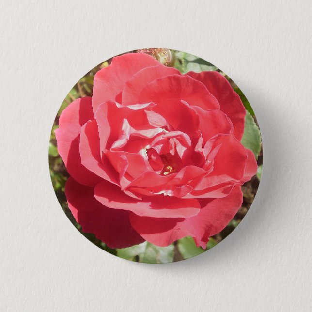 Red Rose Pinback Button (Front)