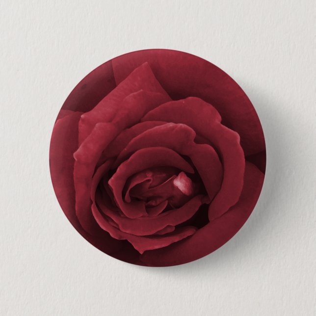 red rose pinback button (Front)