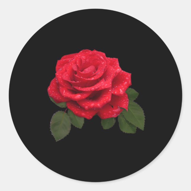 Red Rose Pocket Classic Round Sticker (Front)