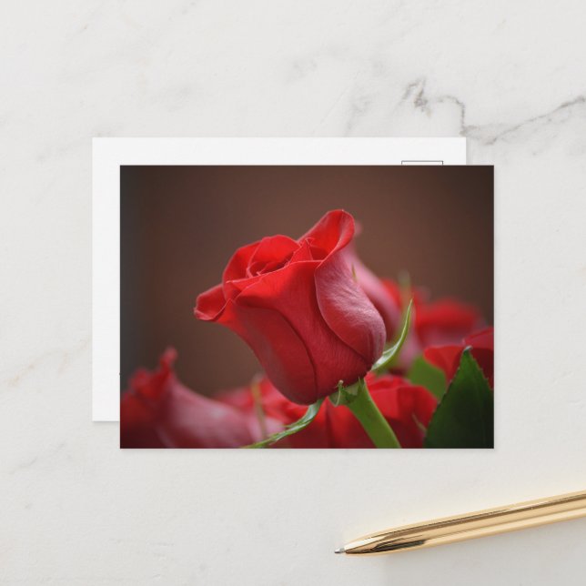 Red Rose Postcard (Front/Back In Situ)