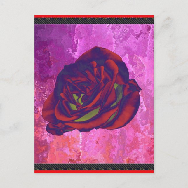 Red Rose Postcard (Front)