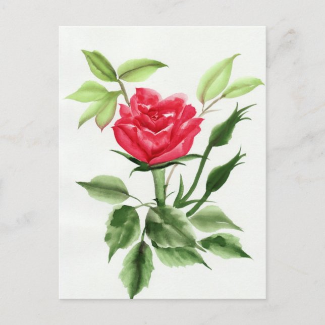 Red Rose Postcard (Front)