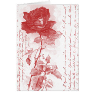 Red Rose Postcard Design