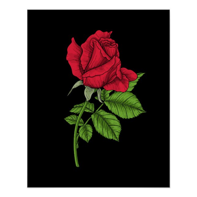Red rose poster (Front)