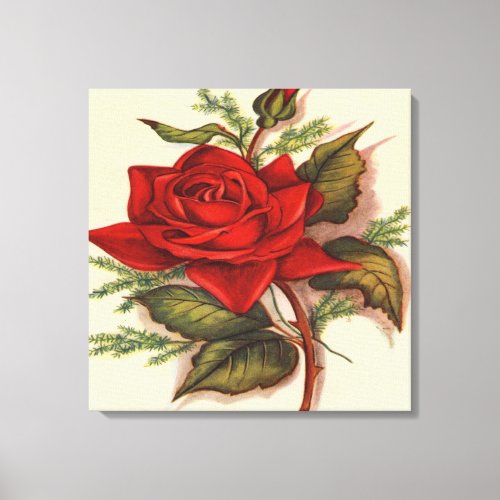 Red Rose  Premium Wrapped Canvas Gloss