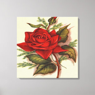 Red Rose  Premium Wrapped Canvas (Gloss) Print