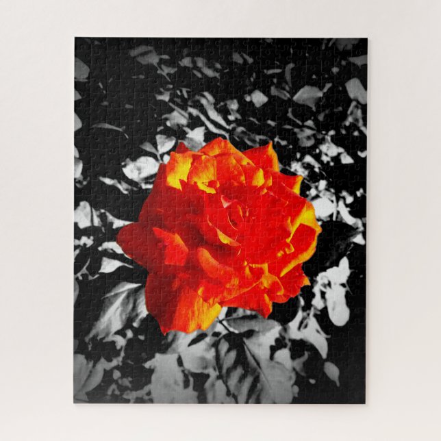 Red rose Puzzle (Vertical)