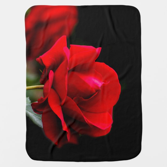 Red rose receiving blanket (Front)