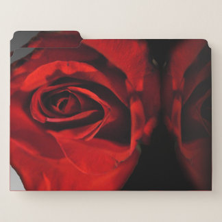 Red Rose Reflection File Folder