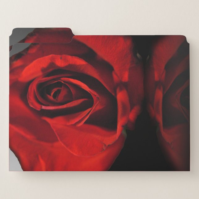 Red Rose Reflection File Folder (Front Left)