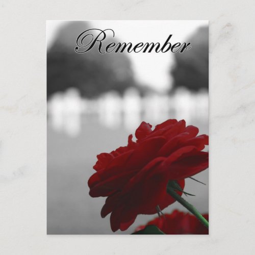 Red Rose Remember Memorial Day Postcard