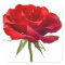 Red Rose - Roses Customized Template