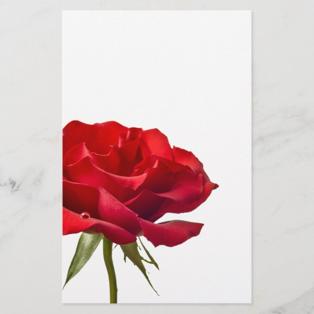 Red Rose - Roses Customized Template Stationery (Front)