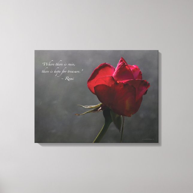 Red Rose, Rumi quote, 24" x 18" - MEDIUM Canvas Print (Front)