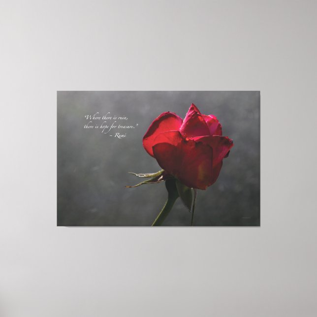 Red Rose, Rumi quote, ~ 60" x 40" - EXTRA LARGE Canvas Print (Front)