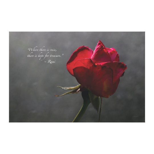 Red Rose Rumi Quote 60 X 40 Extra Large Canvas Print Zazzle Com