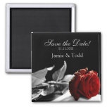Red Rose Save The Date Magnet at Zazzle