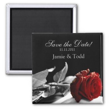 Red Rose Save The Date Magnet by weddingsNthings at Zazzle