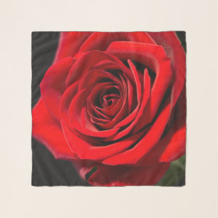 Red rose scarf
