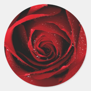 Red Rose Seals
