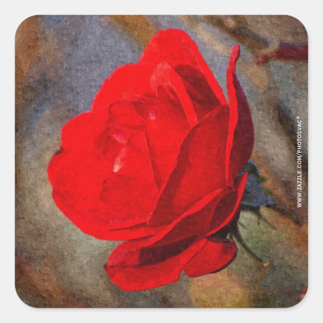 Red Rose Square Sticker (Front)