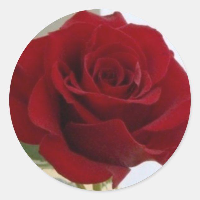 Red Rose Sticker (Front)