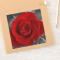 Red Rose Sticker | Zazzle