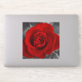 Red Rose Sticker | Zazzle
