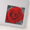 Red Rose Sticker | Zazzle