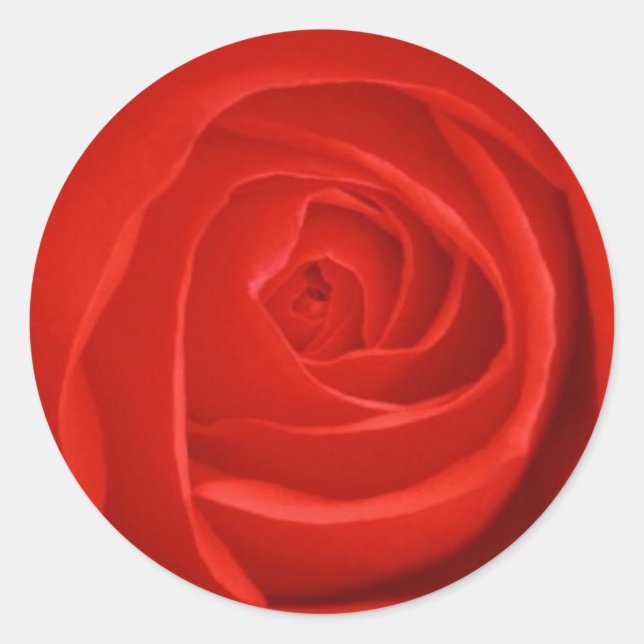 Red Rose Sticker (Front)